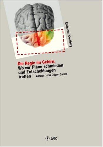 Die Regie im Gehirn: Wo wir Pläne schmieden und Entscheidungen treffen