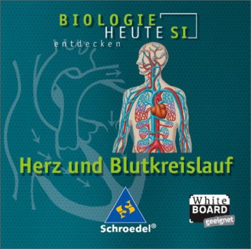 Herz und Blutkreislauf