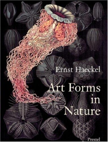 Art Forms in Nature: The Prints of Ernst Haeckel: Prints of Ernst Haekel (Monographs)