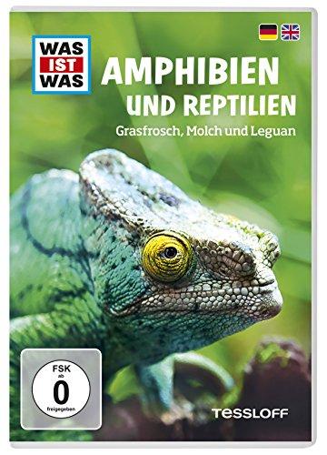 WAS IST WAS TV DVD: Amphibien und Reptilien