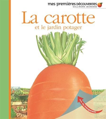 La carotte et le jardin potager