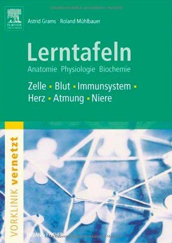 Lerntafeln "Vorklinik vernetzt" - Anatomie, Biochemie, Physiologie: Zelle, Blut, Immunsystem, Herz, Atmungswege, Niere und Harnwege