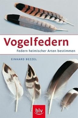 Vogelfedern: Federn heimischer Arten bestimmen