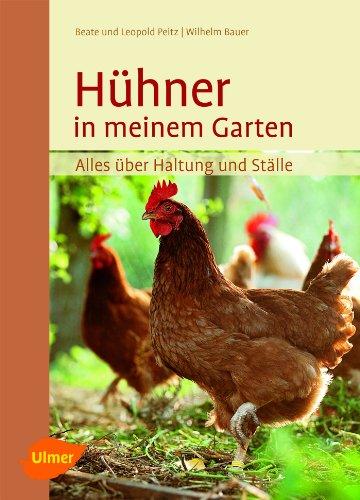 Hühner in meinem Garten: Alles über Haltung und Ställe