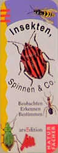 Naturfächer, Kartenfächer, Insekten, Spinnen & Co., Kartenfächer