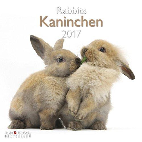 Kaninchen 2017: A&I Tierkalender