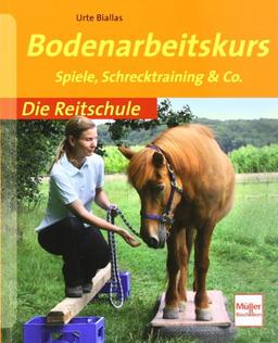 Bodenarbeitskurs: Spiele, Schrecktraining & Co. (Die Reitschule)