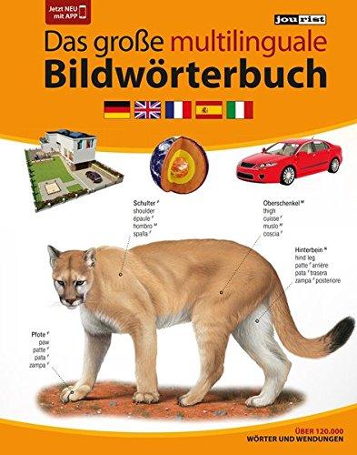 JOURIST Das große multilinguale Bildwörterbuch Deutsch-Englisch-Französisch-Spanisch-Italienisch: 120.000 Wörter und Wendungen