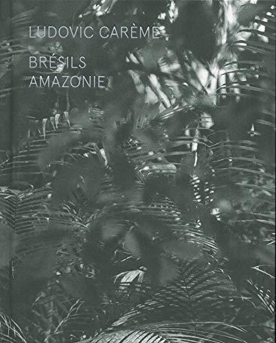 Brésils : Amazonie