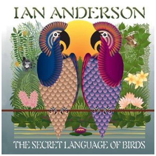 Secret Language of Birds