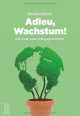 Adieu, Wachstum!: Das Ende einer Erfolgsgeschichte