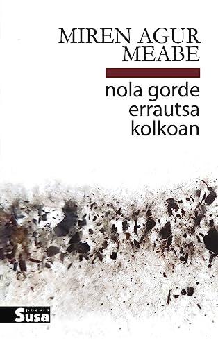 Nola gorde errautsa kolkoan (Poesia, Band 81)