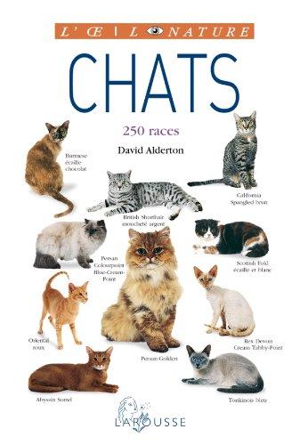 Chats : 250 races