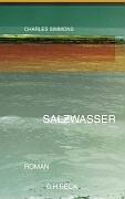 Salzwasser: Roman