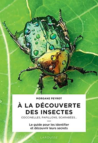 A la découverte des insectes : coccinelles, papillons, scarabées... : le guide pour les identifier et découvrir leurs secrets