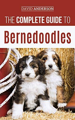 The Complete Guide to Bernedoodles: Everything you need to know to successfully raise your Bernedoodle puppy!