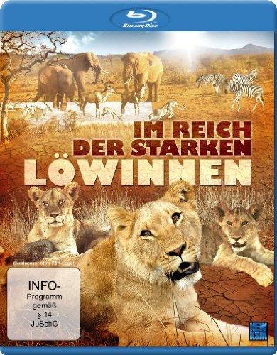 Im Reich der starken Löwinnen [Blu-ray]