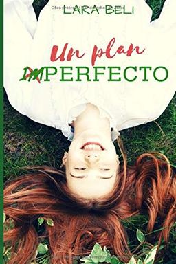 Un plan imperfecto