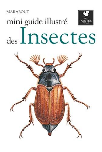 Le petit guide Marabout des insectes