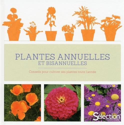 Plantes annuelles et bisannuelles : conseils pour cultiver ses plantes toute l'année