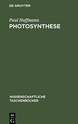 Photosynthese