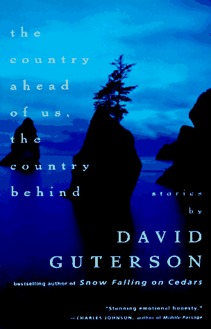 The Country Ahead of Us, The Country Behind (Vintage Contemporaries)