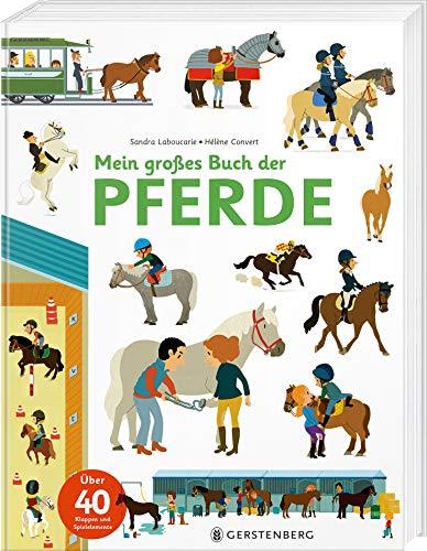 Mein großes Buch der Pferde: Über 40 Klappen und Spielelemente