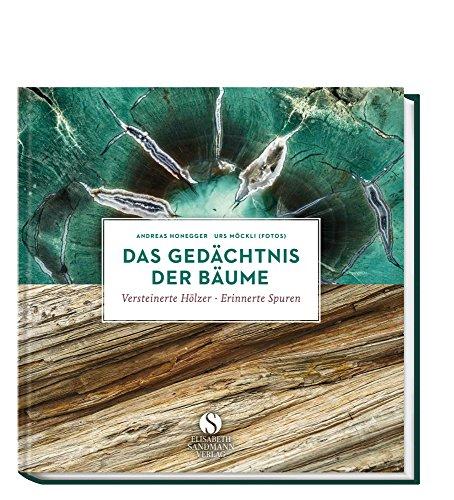 Das Gedächtnis der Bäume: Versteinerte Hölzer - erinnerte Spuren