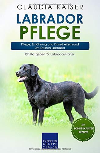 Labrador Pflege: Pflege, Ernährung und Krankheiten rund um Deinen Labrador (Labrador Band, Band 3)