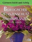 Biologischer Pflanzenschutz für Zimmerpflanzen