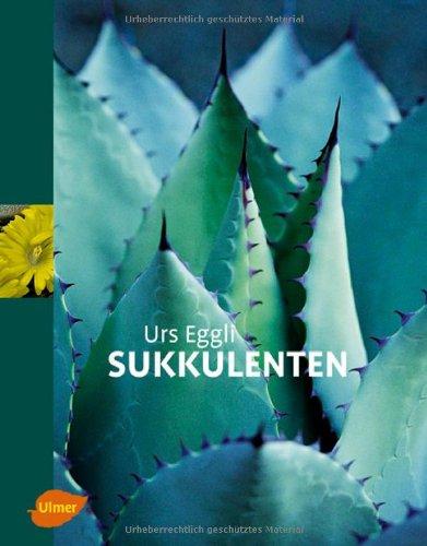 Sukkulenten -