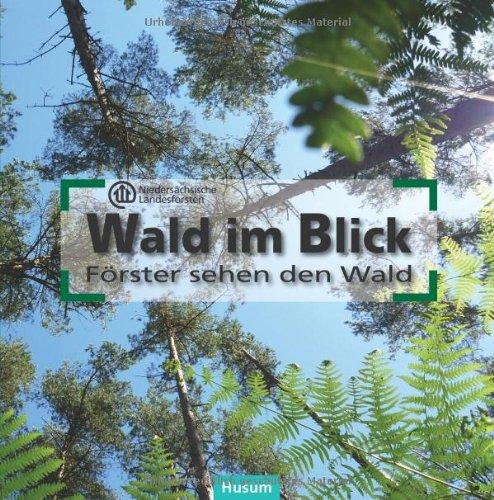 Wald im Blick: Förster sehen den Wald