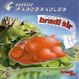 Bradl Air