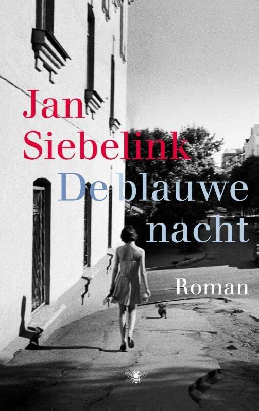 De blauwe nacht: roman