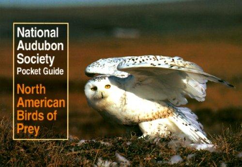 National Audubon Society Pocket Guide to North American Birds of Prey (National Audubon Society Pocket Guides)