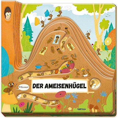 Der Ameisenhügel: Fensterbuch zum Staunen und Lernen