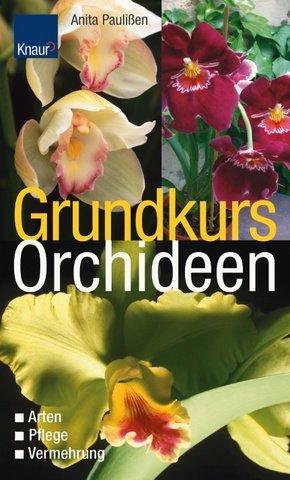 Grundkurs Orchideen: Arten - Pflege - Vermehrung