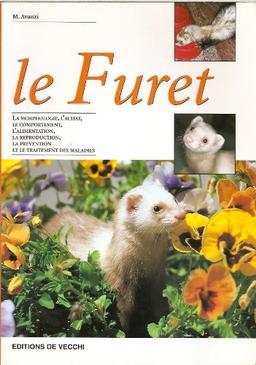 Les furets