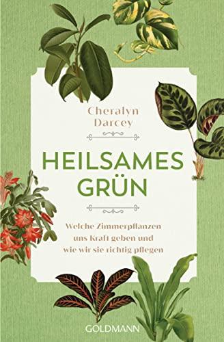 Heilsames Grün: Welche Zimmerpflanzen uns Kraft geben und wie wir sie richtig pflegen