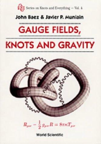 Gauge Fields, Knots And Gravity (Series on Knots and Everything, Band 4)