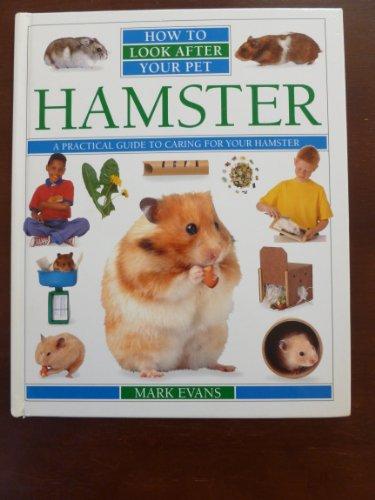 How To Look After Your Pet: 6 Hamster