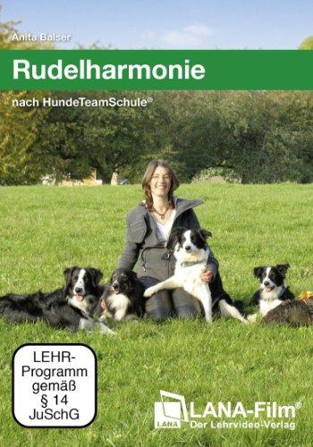 Rudelharmonie nach HundeTeamSchule: Führen eines Hunderudels