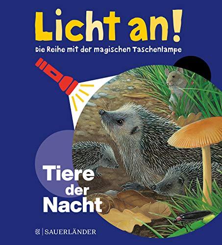 Tiere der Nacht: Licht an! (Licht an! Die Reihe mit der magischen Taschenlampe)