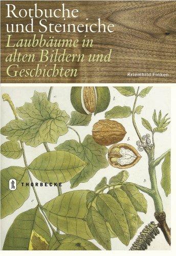 Rotbuche und Steineiche: Laubbäume in alten Bildern und Geschichten