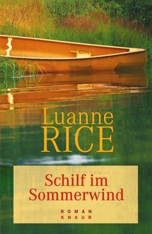 Schilf im Sommerwind