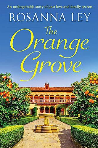 The Orange Grove: a mouth-watering holiday romance, perfect for longer nights: a mouth-watering holiday romance set in sunny Seville