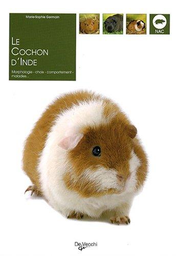 Le cochon d'Inde : morphologie, choix, comportement, maladies...