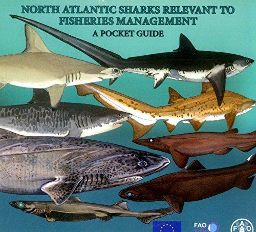 North Atlantic Sharks Relevant to Fisheries Management: A Pocket Guide