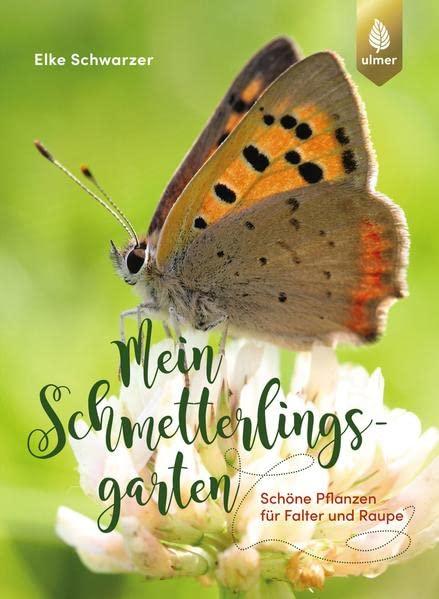 Mein Schmetterlingsgarten: Schöne Pflanzen für Falter und Raupe