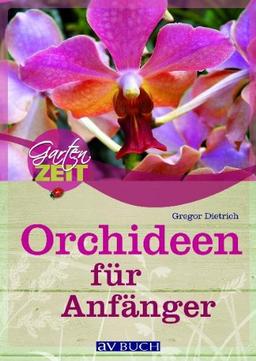 Orchideen für Anfänger